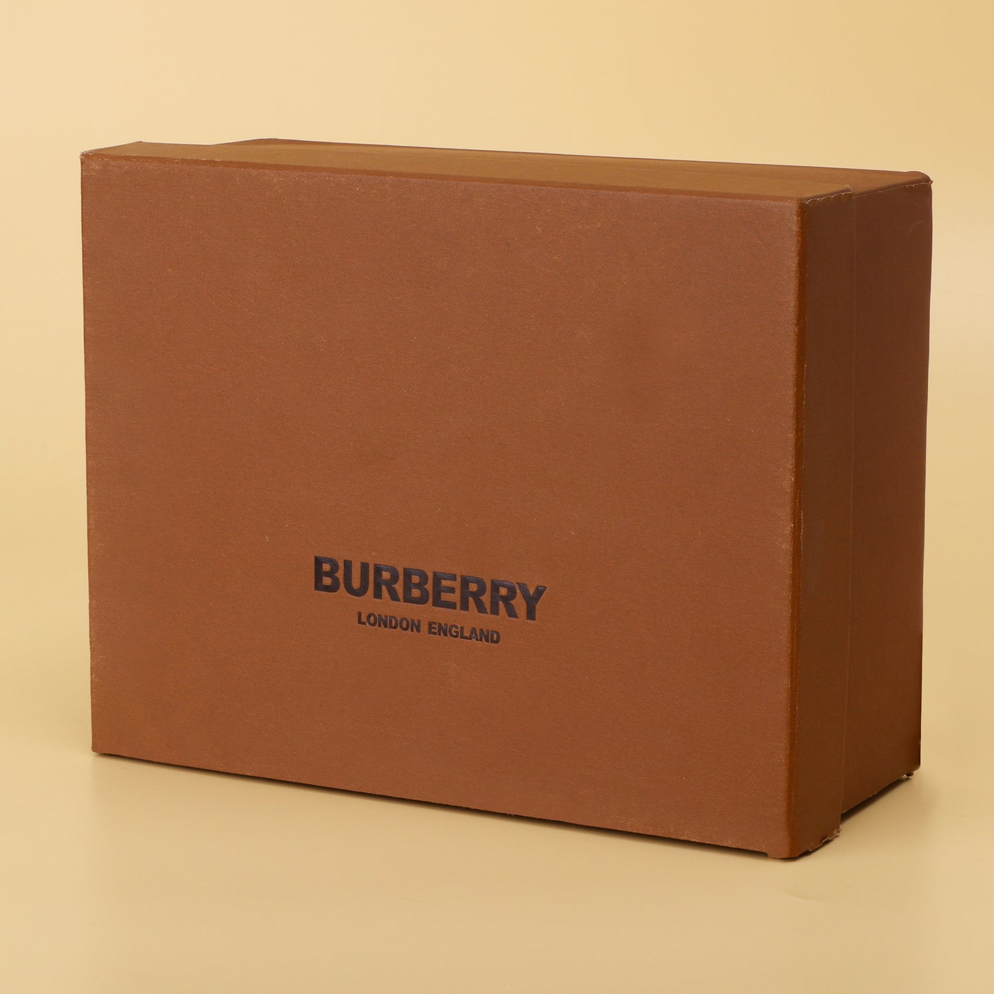 Burberry TB Studded Velvet Chain Bag in Black