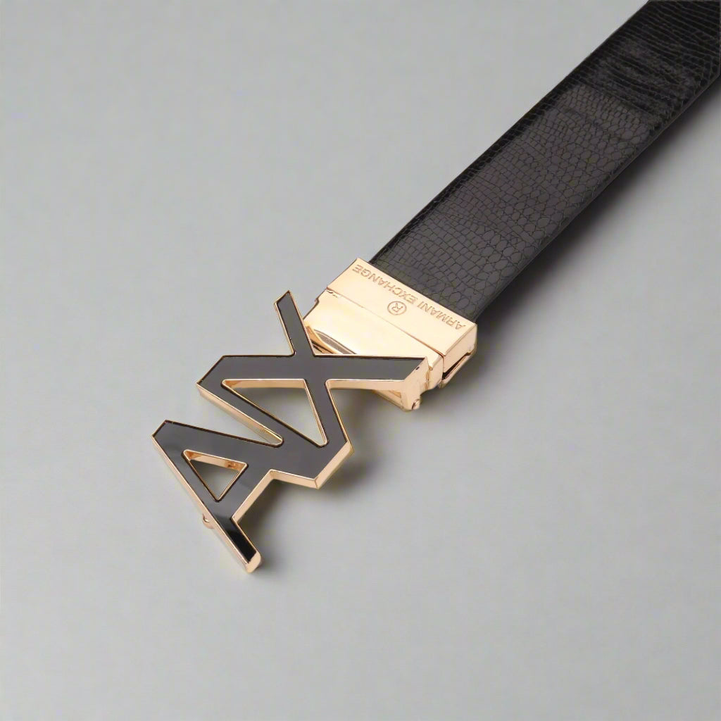 Black belt with gold and black logo buckle on a light gray background