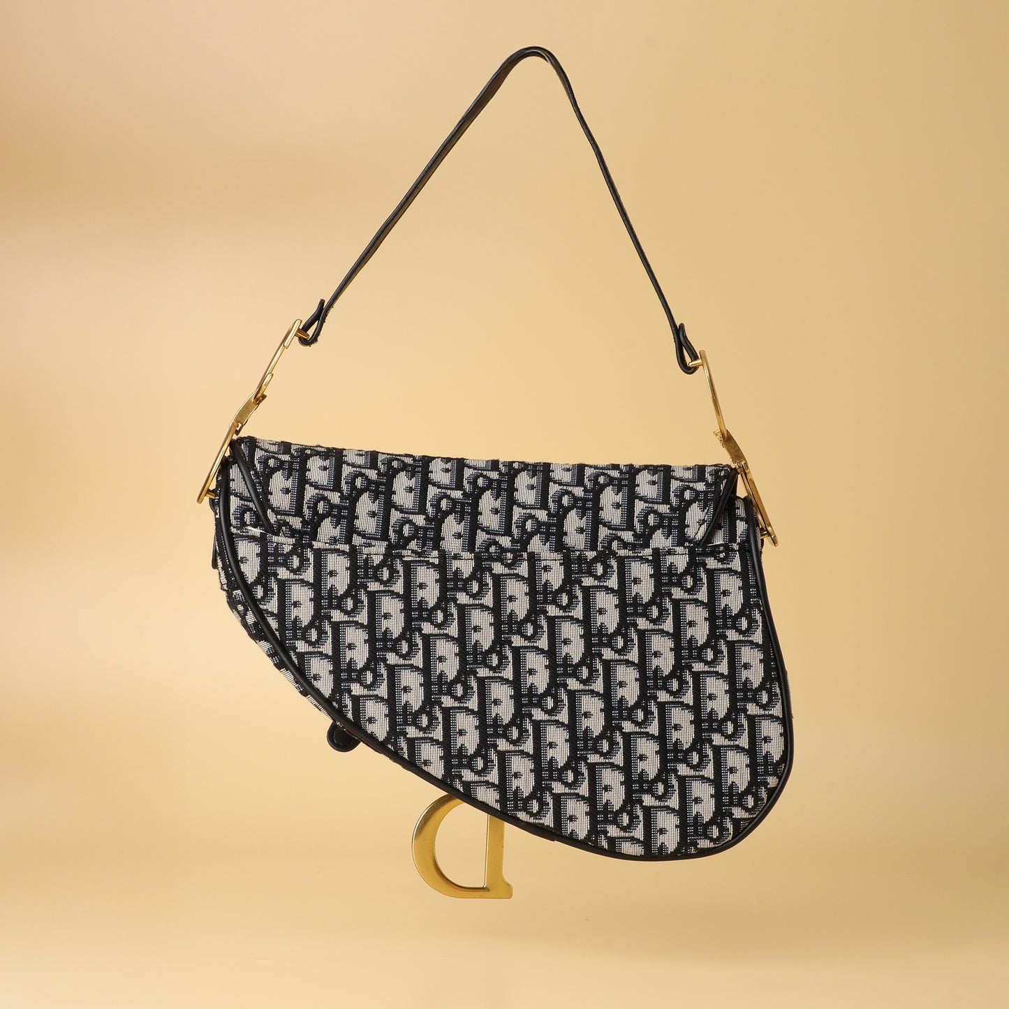 Dior Saddle Bag – Oblique Canvas Edition